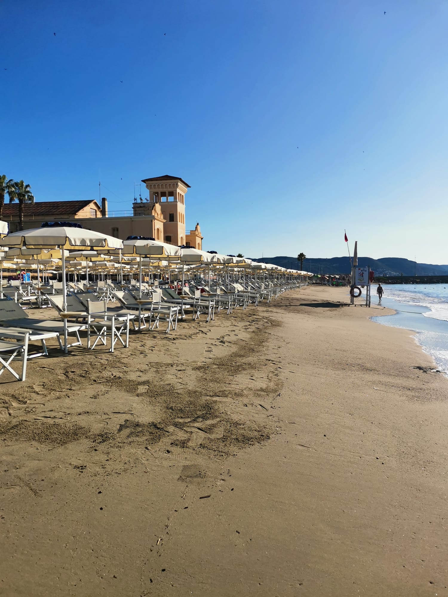 image of a serene beach [travel agency]