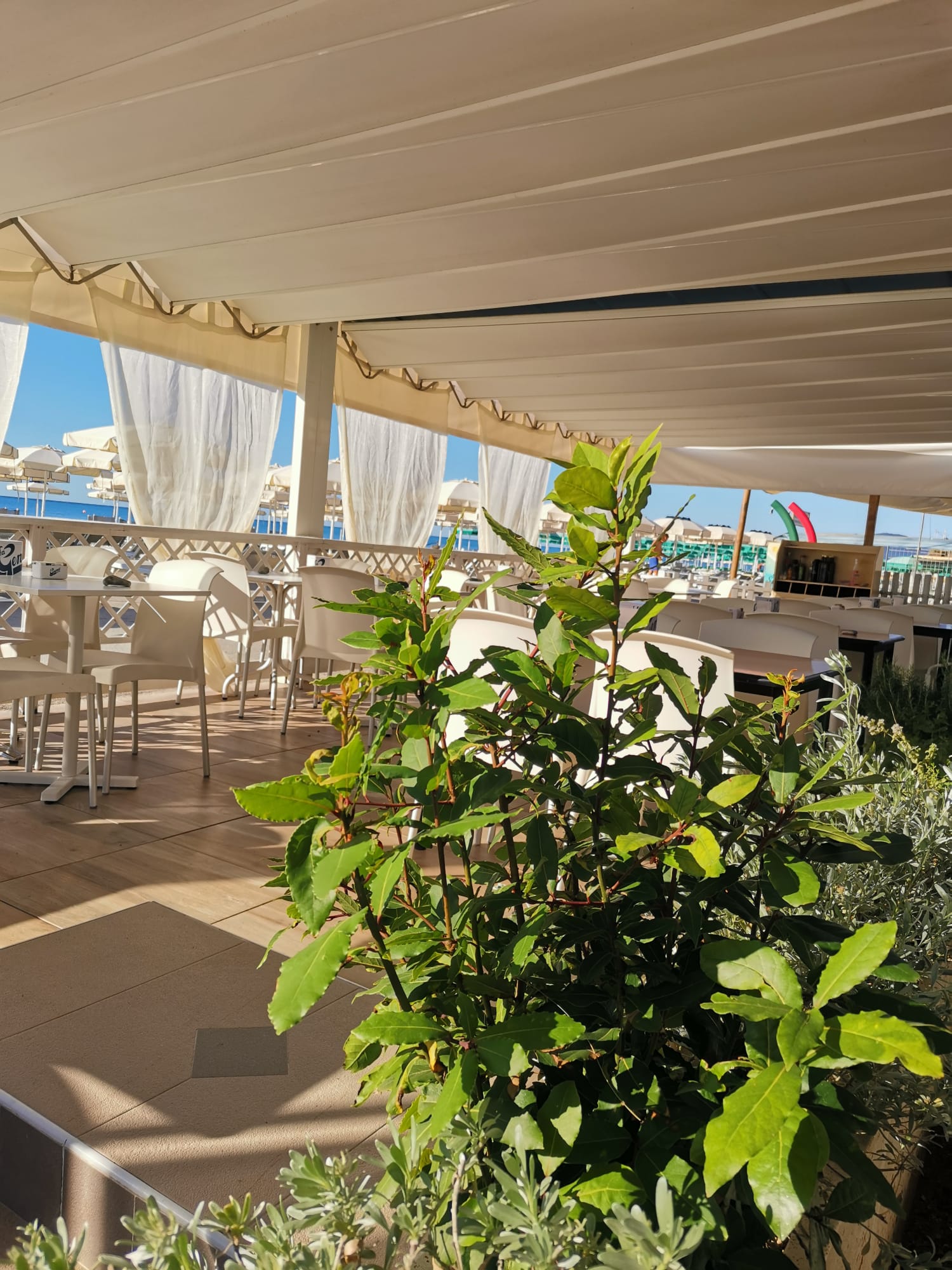 image of food truck in action