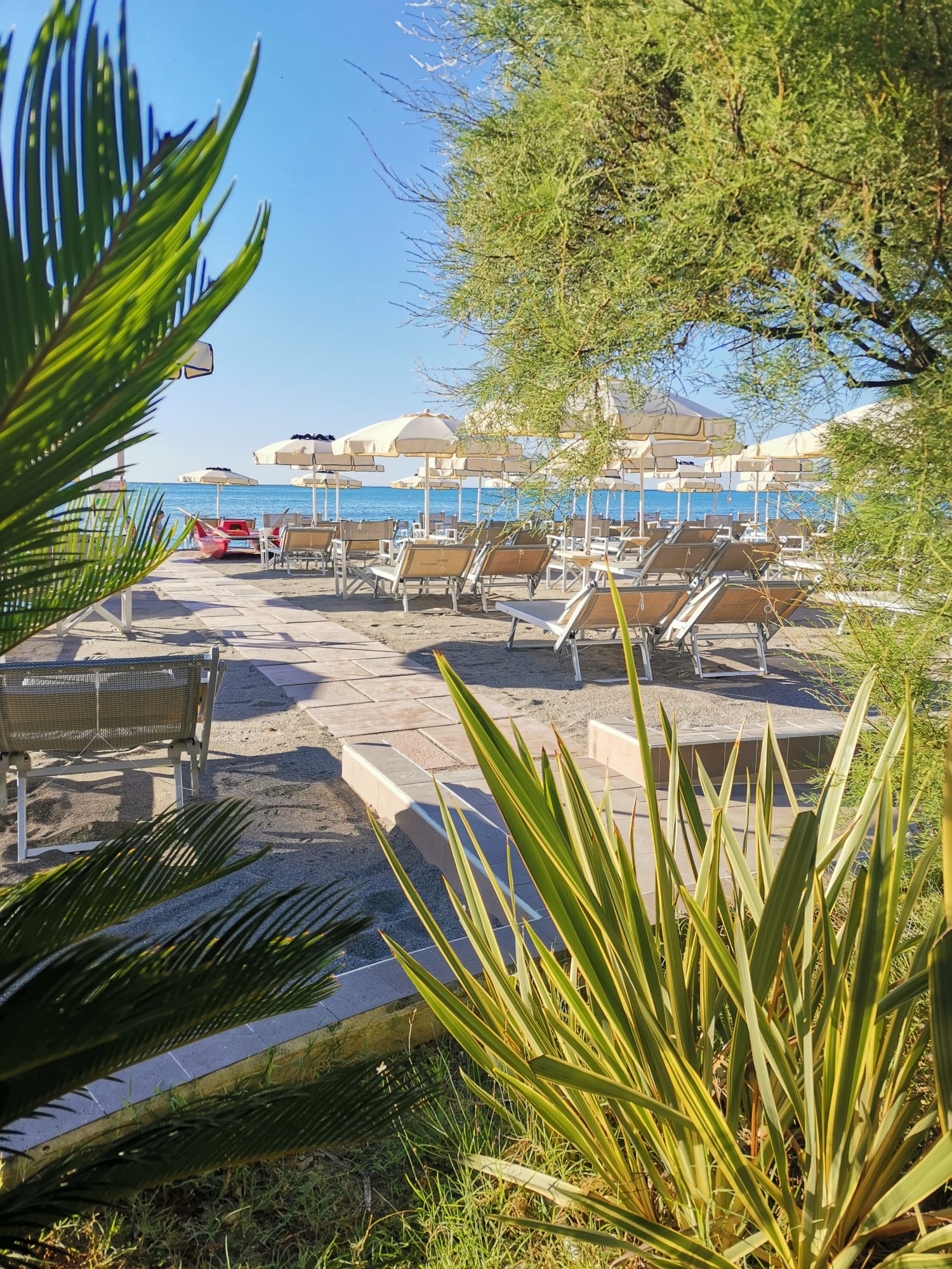 image of a serene beach [travel agency]