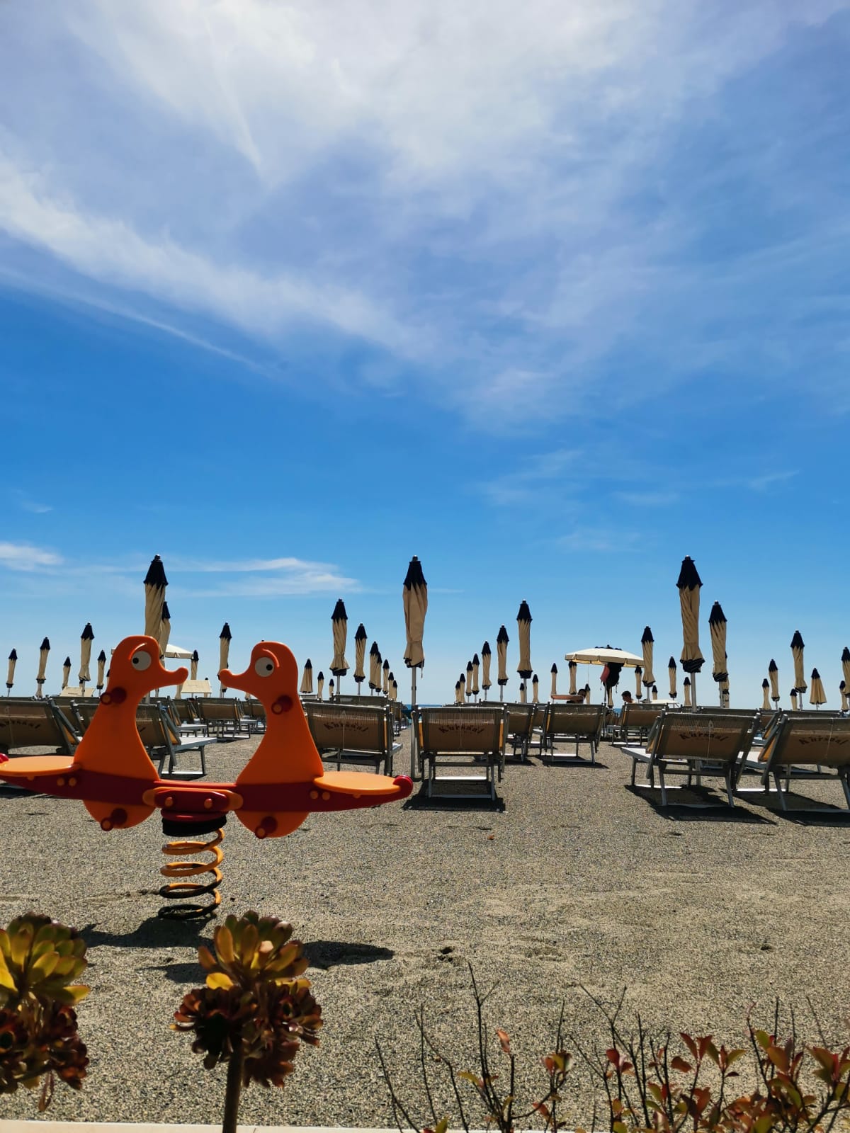 image of a serene beach [travel agency]